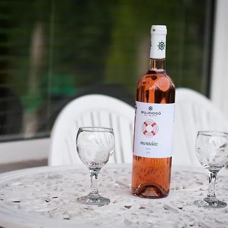 Boathouse With Sauna And Salt Daire *