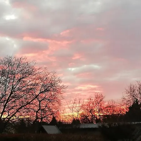 Daire Boathouse With Sauna And Salt Balatonlelle