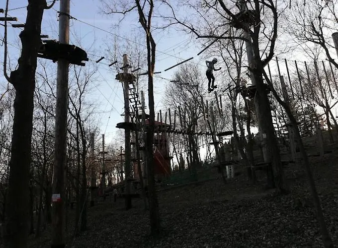 Boathouse With Sauna And Salt * Balatonlelle